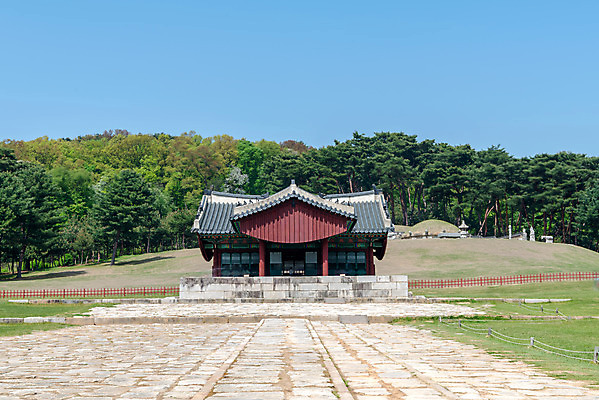 포토 JPG 주간 나무 한국전통 여행 유적지 하늘 풍경 사람없음 야외 관광지 맑음 봄 세계문화유산 문화재 역사 한국사 조선시대 정자각 조선왕릉 화성시 헌경왕후 장조 국내포토 자연요소 식물 전통 계절 고건축 날씨 한국 경기도 왕릉 파일형식 왕후