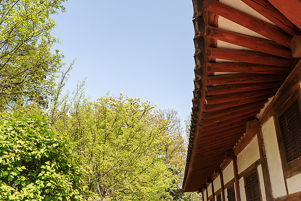 포토 JPG 주간 나무 한국전통 로우앵글 여행 유적지 하늘 풍경 사람없음 야외 관광지 맑음 봄 세계문화유산 문화재 역사 한국사 조선시대 재실 조선왕릉 화성시 헌경왕후 장조 국내포토 자연요소 식물 전통 계절 뷰포인트 고건축 날씨 한국 경기도 왕릉 파일형식 왕후