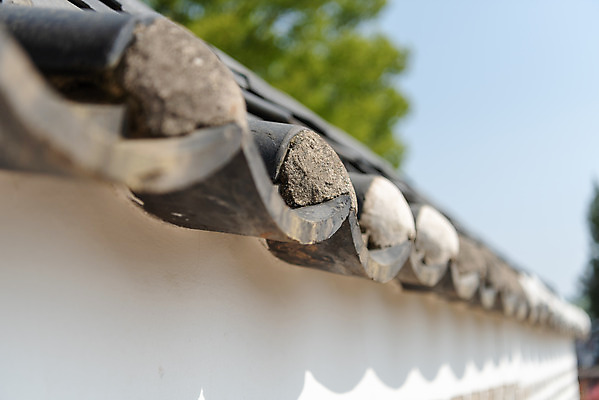 포토 JPG 주간 한국전통 여행 유적지 기와 풍경 근접촬영 사람없음 야외 아웃포커스 관광지 봄 세계문화유산 문화재 역사 한국사 조선시대 재실 조선왕릉 화성시 헌경왕후 장조 국내포토 자연요소 전통 계절 뷰포인트 고건축 한국 촬영기법 경기도 왕릉 파일형식 왕후