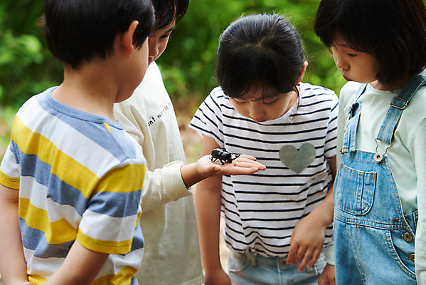 포토 JPG 주간 나무 응시 공원 여자 남자 어린이라이프 초등학생 어린이 곤충 자연 함께함 아웃도어 사람 소녀 소년 여러명 상반신 야외 앞모습 옆모습 여름 친구 한국인 관찰 체험학습 체험 숲속 숲 즐거움 호기심 용인 장수풍뎅이 휴양림 어린이만 국내포토 자연요소 식물 동물 학생 라이프스타일 시선 계절 공공시설 감정 뷰포인트 다수 컨셉 관계 모션 동양인 생태계 경기도 파일형식