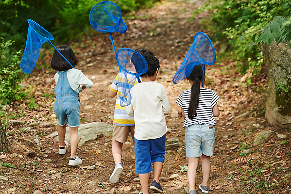 포토 JPG 주간 전신 나무 공원 여자 남자 어린이라이프 초등학생 어린이 곤충 자연 함께함 아웃도어 사람 소녀 소년 여러명 야외 뒷모습 여름 친구 걷기 한국인 체험학습 체험 숲속 숲 즐거움 채집망 용인 휴양림 어린이만 국내포토 자연요소 식물 동물 학생 라이프스타일 계절 공공시설 감정 뷰포인트 다수 컨셉 관계 모션 동양인 생태계 경기도 파일형식