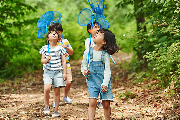 포토 JPG 주간 전신 나무 공원 여자 남자 어린이라이프 초등학생 어린이 곤충 자연 함께함 아웃도어 사람 소녀 소년 여러명 야외 앞모습 여름 친구 걷기 한국인 체험학습 체험 숲속 숲 수집 즐거움 채집망 용인 휴양림 어린이만 국내포토 자연요소 식물 동물 학생 라이프스타일 계절 공공시설 감정 뷰포인트 다수 컨셉 관계 모션 동양인 생태계 경기도 파일형식