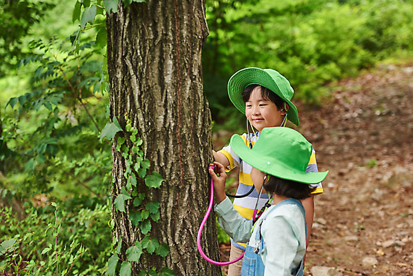 포토 JPG 주간 나무 공원 여자 남자 어린이라이프 초등학생 어린이 청진기 자연 아웃도어 서기 사람 소녀 소년 상반신 야외 두명 옆모습 여름 친구 한국인 관찰 체험학습 체험 숲속 숲 즐거움 호기심 용인 휴양림 어린이만 국내포토 자연요소 식물 학생 라이프스타일 계절 공공시설 감정 뷰포인트 컨셉 관계 의료기기 모션 동양인 생태계 경기도 파일형식