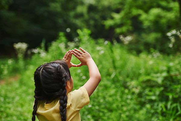 포토 JPG 주간 나무 응시 공원 여자 어린이라이프 초등학생 어린이 자연 하늘 아웃도어 한명 사람 손짓 소녀 상반신 야외 뒷모습 아웃포커스 여름 한국인 체험학습 체험 숲속 숲 손모으기 용인 휴양림 소녀한명만 국내포토 자연요소 식물 1 학생 라이프스타일 시선 계절 공공시설 뷰포인트 컨셉 모션 촬영기법 동양인 생태계 경기도 여자한명만 소녀만 파일형식