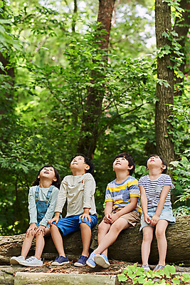 포토 JPG 주간 전신 나무 공원 여자 남자 어린이라이프 초등학생 어린이 자연 함께함 아웃도어 웃음 사람 앉기 소녀 소년 여러명 야외 앞모습 여름 친구 한국인 올려보기 체험학습 체험 숲속 숲 즐거움 용인 휴양림 어린이만 국내포토 자연요소 식물 학생 라이프스타일 계절 공공시설 감정 뷰포인트 다수 컨셉 관계 모션 표정 동양인 생태계 경기도 파일형식