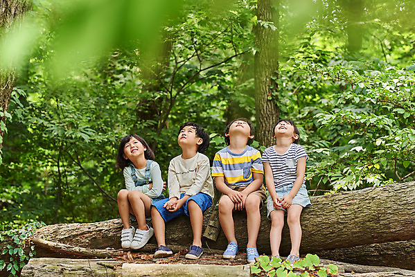 포토 JPG 주간 전신 나무 공원 여자 남자 어린이라이프 초등학생 어린이 자연 함께함 아웃도어 웃음 사람 앉기 소녀 소년 여러명 야외 앞모습 여름 친구 한국인 올려보기 체험학습 체험 숲속 숲 즐거움 용인 휴양림 어린이만 국내포토 자연요소 식물 학생 라이프스타일 계절 공공시설 감정 뷰포인트 다수 컨셉 관계 모션 표정 동양인 생태계 경기도 파일형식