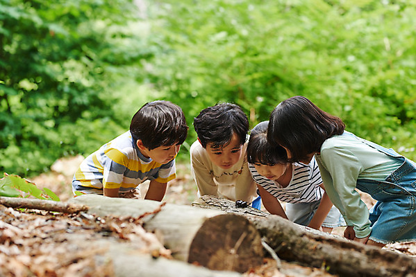 포토 JPG 주간 나무 공원 여자 남자 어린이라이프 초등학생 어린이 곤충 자연 함께함 아웃도어 사람 소녀 소년 여러명 상반신 야외 앞모습 옆모습 여름 친구 한국인 관찰 체험학습 체험 숲속 숲 수집 즐거움 호기심 용인 장수풍뎅이 휴양림 어린이만 국내포토 자연요소 식물 동물 학생 라이프스타일 계절 공공시설 감정 뷰포인트 다수 컨셉 관계 모션 동양인 생태계 경기도 파일형식