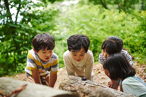 포토 JPG 주간 나무 공원 여자 남자 어린이라이프 초등학생 어린이 곤충 자연 함께함 아웃도어 사람 소녀 소년 여러명 상반신 야외 앞모습 옆모습 여름 친구 한국인 관찰 체험학습 체험 숲속 숲 수집 즐거움 호기심 용인 장수풍뎅이 휴양림 어린이만 국내포토 자연요소 식물 동물 학생 라이프스타일 계절 공공시설 감정 뷰포인트 다수 컨셉 관계 모션 동양인 생태계 경기도 파일형식