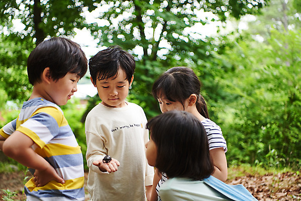 포토 JPG 주간 나무 공원 여자 남자 어린이라이프 초등학생 어린이 곤충 자연 함께함 아웃도어 미소 들기 사람 소녀 소년 여러명 상반신 야외 앞모습 옆모습 여름 친구 한국인 관찰 체험학습 체험 숲속 숲 수집 즐거움 용인 장수풍뎅이 휴양림 어린이만 국내포토 자연요소 식물 동물 학생 라이프스타일 계절 공공시설 감정 뷰포인트 다수 컨셉 관계 모션 표정 동양인 생태계 경기도 파일형식