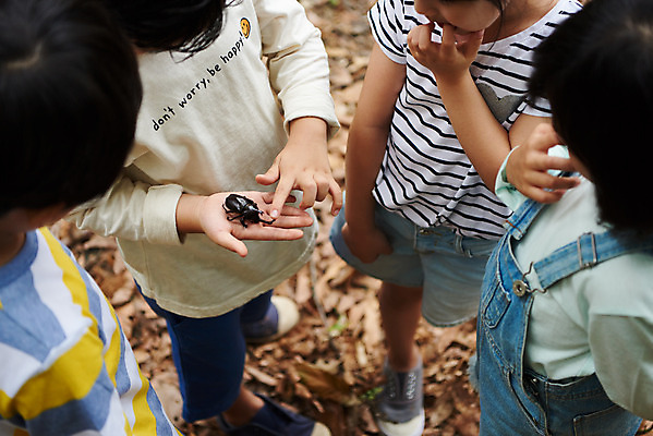 포토 JPG 주간 나무 공원 여자 남자 어린이라이프 초등학생 어린이 곤충 자연 함께함 아웃도어 들기 사람 소녀 소년 여러명 상반신 야외 앞모습 여름 친구 하이앵글 한국인 관찰 체험학습 체험 숲속 숲 수집 즐거움 호기심 용인 장수풍뎅이 휴양림 어린이만 국내포토 자연요소 식물 동물 학생 라이프스타일 계절 공공시설 감정 뷰포인트 다수 컨셉 관계 모션 동양인 생태계 경기도 파일형식