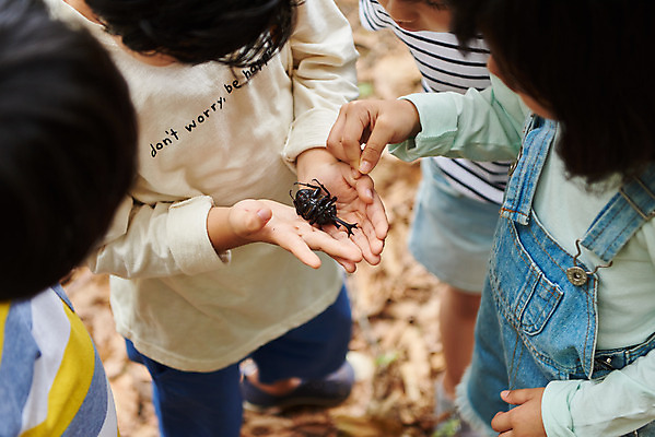 포토 JPG 주간 나무 공원 여자 남자 어린이라이프 초등학생 어린이 곤충 자연 함께함 아웃도어 들기 사람 소녀 소년 여러명 상반신 야외 앞모습 여름 친구 하이앵글 한국인 관찰 체험학습 체험 숲속 숲 수집 즐거움 호기심 용인 장수풍뎅이 휴양림 어린이만 국내포토 자연요소 식물 동물 학생 라이프스타일 계절 공공시설 감정 뷰포인트 다수 컨셉 관계 모션 동양인 생태계 경기도 파일형식