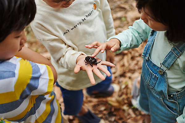 포토 JPG 주간 나무 공원 여자 남자 어린이라이프 초등학생 어린이 곤충 자연 함께함 아웃도어 들기 사람 소녀 소년 여러명 상반신 야외 앞모습 여름 친구 한국인 관찰 체험학습 체험 숲속 숲 수집 즐거움 호기심 용인 장수풍뎅이 휴양림 어린이만 국내포토 자연요소 식물 동물 학생 라이프스타일 계절 공공시설 감정 뷰포인트 다수 컨셉 관계 모션 동양인 생태계 경기도 파일형식