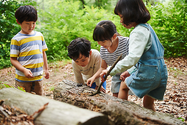 포토 JPG 주간 나무 공원 여자 남자 어린이라이프 초등학생 어린이 곤충 자연 함께함 아웃도어 미소 사람 소녀 소년 여러명 상반신 야외 앞모습 옆모습 여름 친구 한국인 관찰 체험학습 체험 숲속 숲 수집 즐거움 용인 장수풍뎅이 휴양림 어린이만 국내포토 자연요소 식물 동물 학생 라이프스타일 계절 공공시설 감정 뷰포인트 다수 컨셉 관계 모션 표정 동양인 생태계 경기도 파일형식