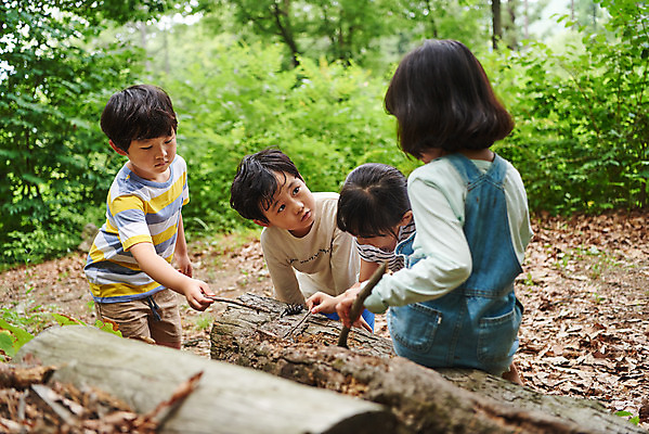 포토 JPG 주간 나무 공원 여자 남자 어린이라이프 초등학생 어린이 곤충 자연 함께함 아웃도어 사람 소녀 소년 여러명 상반신 야외 앞모습 옆모습 뒷모습 여름 친구 한국인 관찰 체험학습 체험 숲속 숲 수집 즐거움 호기심 용인 장수풍뎅이 휴양림 어린이만 국내포토 자연요소 식물 동물 학생 라이프스타일 계절 공공시설 감정 뷰포인트 다수 컨셉 관계 모션 동양인 생태계 경기도 파일형식