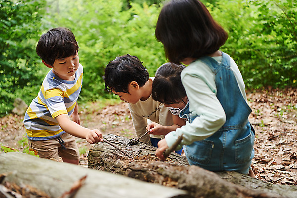 포토 JPG 주간 나무 공원 여자 남자 어린이라이프 초등학생 어린이 곤충 자연 함께함 아웃도어 사람 소녀 소년 여러명 상반신 야외 앞모습 옆모습 뒷모습 여름 친구 한국인 관찰 체험학습 체험 숲속 숲 수집 즐거움 호기심 용인 장수풍뎅이 휴양림 어린이만 국내포토 자연요소 식물 동물 학생 라이프스타일 계절 공공시설 감정 뷰포인트 다수 컨셉 관계 모션 동양인 생태계 경기도 파일형식 한국 인종 생활 시설 아시아 나라