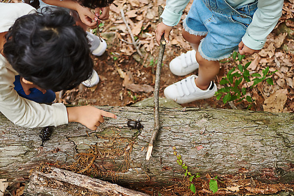 포토 JPG 주간 나무 공원 여자 남자 어린이라이프 초등학생 어린이 곤충 자연 함께함 아웃도어 사람 소녀 소년 여러명 상반신 야외 여름 친구 하이앵글 한국인 하반신 관찰 체험학습 체험 숲속 숲 수집 즐거움 호기심 용인 장수풍뎅이 휴양림 국내포토 자연요소 식물 동물 학생 라이프스타일 계절 공공시설 감정 뷰포인트 다수 컨셉 관계 모션 동양인 생태계 경기도 파일형식