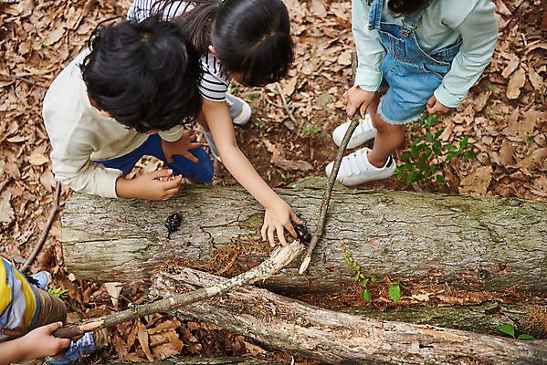 포토 JPG 주간 나무 공원 여자 남자 어린이라이프 초등학생 어린이 곤충 자연 함께함 아웃도어 미소 사람 소녀 소년 여러명 상반신 야외 여름 친구 하이앵글 한국인 하반신 관찰 체험학습 체험 숲속 숲 수집 즐거움 용인 장수풍뎅이 휴양림 어린이만 국내포토 자연요소 식물 동물 학생 라이프스타일 계절 공공시설 감정 뷰포인트 다수 컨셉 관계 모션 표정 동양인 생태계 경기도 파일형식
