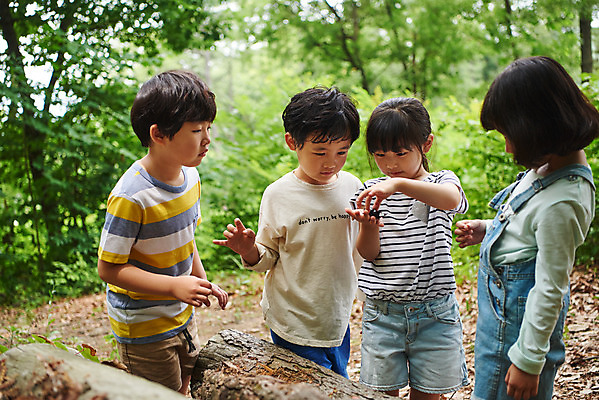 포토 JPG 주간 나무 공원 여자 남자 어린이라이프 초등학생 어린이 곤충 자연 함께함 아웃도어 미소 사람 소녀 소년 여러명 상반신 야외 앞모습 옆모습 여름 친구 한국인 관찰 체험학습 체험 숲속 숲 수집 즐거움 용인 장수풍뎅이 휴양림 어린이만 국내포토 자연요소 식물 동물 학생 라이프스타일 계절 공공시설 감정 뷰포인트 다수 컨셉 관계 모션 표정 동양인 생태계 경기도 파일형식