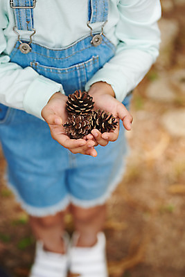 포토 JPG 주간 나무 공원 여자 어린이라이프 초등학생 어린이 자연 아웃도어 한명 들기 사람 소녀 야외 앞모습 여름 하이앵글 한국인 하반신 체험학습 체험 숲속 숲 솔방울 용인 휴양림 소녀한명만 국내포토 자연요소 식물 1 학생 라이프스타일 계절 공공시설 뷰포인트 컨셉 모션 동양인 생태계 경기도 여자한명만 소녀만 파일형식