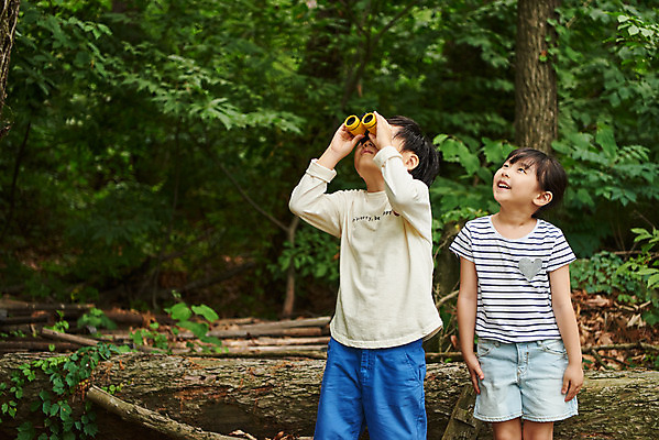 포토 JPG 주간 나무 공원 여자 남자 어린이라이프 초등학생 어린이 자연 아웃도어 사람 앉기 소녀 소년 상반신 야외 두명 앞모습 여름 친구 망원경 한국인 올려보기 관찰 체험학습 체험 숲속 숲 즐거움 호기심 용인 휴양림 국내포토 자연요소 식물 학생 라이프스타일 계절 공공시설 감정 뷰포인트 컨셉 관계 모션 동양인 생태계 경기도 파일형식