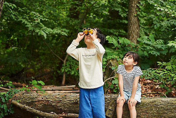 포토 JPG 주간 나무 공원 여자 남자 어린이라이프 초등학생 어린이 자연 아웃도어 사람 앉기 소녀 소년 상반신 야외 두명 앞모습 여름 친구 망원경 한국인 올려보기 관찰 체험학습 체험 숲속 숲 즐거움 호기심 용인 휴양림 국내포토 자연요소 식물 학생 라이프스타일 계절 공공시설 감정 뷰포인트 컨셉 관계 모션 동양인 생태계 경기도 파일형식