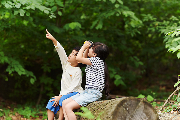 포토 JPG 주간 나무 공원 여자 남자 어린이라이프 초등학생 어린이 자연 아웃도어 사람 앉기 손짓 소녀 소년 상반신 야외 두명 옆모습 여름 친구 망원경 한국인 올려보기 가리킴 관찰 체험학습 체험 숲속 숲 즐거움 호기심 용인 휴양림 국내포토 자연요소 식물 학생 라이프스타일 계절 공공시설 감정 뷰포인트 컨셉 관계 모션 동양인 생태계 경기도 파일형식