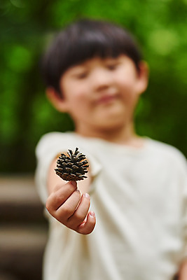 포토 JPG 주간 나무 공원 남자 어린이라이프 초등학생 어린이 자연 아웃도어 한명 서기 들기 사람 근접촬영 소년 상반신 야외 앞모습 아웃포커스 여름 한국인 체험학습 체험 숲속 숲 솔방울 용인 휴양림 소년한명만 국내포토 자연요소 식물 1 학생 라이프스타일 계절 공공시설 뷰포인트 컨셉 모션 촬영기법 동양인 생태계 경기도 남자한명만 소년만 파일형식