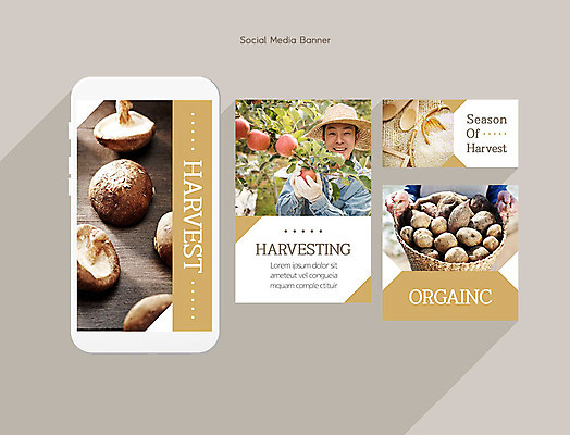 PSD 템플릿 손 배너템플릿 남자 ZIP 웹템플릿 디자인시안 모바일 감자 한명 성인 신체부위 30대 스마트폰 세트 버섯 한국인 수확 어플리케이션 사과 농부 모바일템플릿 모바일웹 소셜네트워크 소셜미디어 웹배너 성인남자한명만 모바일앱 SNS배너 모바일페이지 이미지템플릿 직업 1 배너 농업 채소 과일 사람 동양인 장년 핸드폰 스마트기기 페이지 남자한명만 성인남자만 파일형식