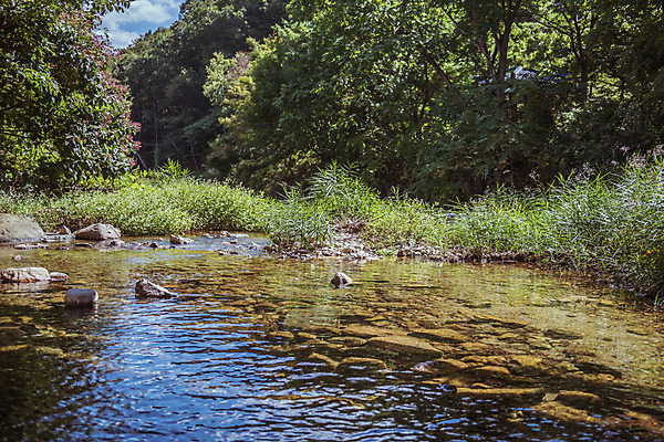 포토 JPG 주간 나무 단풍 한국 풍경 사람없음 야외 가을풍경 계곡 맑음 가을 농촌 시골 용문산 국내포토 자연요소 식물 계절 아시아 잎 날씨 산 양평 파일형식 가을_계절