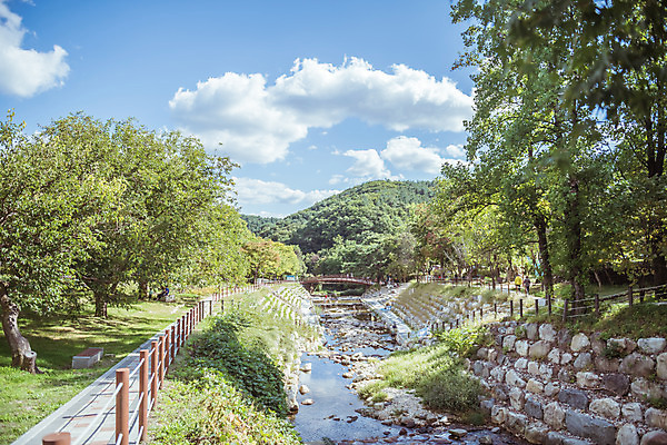 포토 JPG 주간 나무 구름 하늘 한국 풍경 사람없음 야외 가을풍경 계곡 맑음 가을 농촌 시골 나무다리 용문산 국내포토 자연요소 식물 계절 아시아 날씨 산 다리_건축물 양평 파일형식 가을_계절