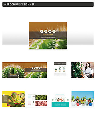템플릿 여자 ZIP 리플렛 선인장 한명 팜플렛 20대 성인 한국인 다육식물 플로리스트 성인여자한명만 인디자인 INDD 홈가드닝 이미지템플릿 식물 직업 1 사람 동양인 청년 원예 여자한명만 성인여자만 파일형식