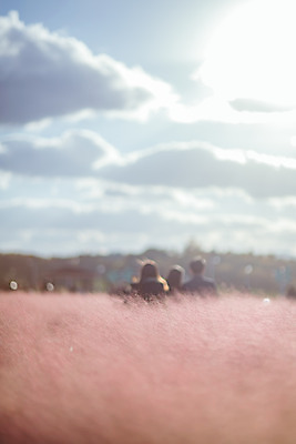 포토 JPG 주간 구름 공원 여행 꽃밭 하늘 한국 풍경 여러명 야외 관광지 여행객 가을풍경 맑음 가을 국내여행 핑크뮬리 국내포토 양주시 자연요소 식물 계절 공공시설 꽃 아시아 다수 날씨 사람 경기도 파일형식 가을_계절