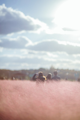 포토 JPG 주간 구름 공원 여행 꽃밭 하늘 한국 풍경 여러명 야외 관광지 햇빛 여행객 가을풍경 맑음 가을 국내여행 핑크뮬리 국내포토 양주시 자연요소 식물 계절 공공시설 꽃 아시아 다수 날씨 사람 태양 경기도 파일형식 가을_계절