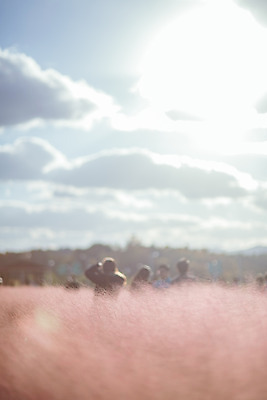 포토 JPG 주간 구름 공원 여행 꽃밭 하늘 한국 풍경 여러명 야외 관광지 햇빛 여행객 가을풍경 맑음 가을 국내여행 핑크뮬리 국내포토 양주시 자연요소 식물 계절 공공시설 꽃 아시아 다수 날씨 사람 태양 경기도 파일형식 가을_계절