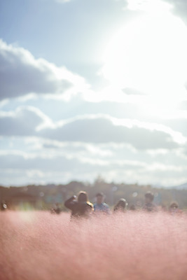 포토 JPG 주간 구름 공원 여행 꽃밭 하늘 한국 풍경 여러명 야외 관광지 햇빛 여행객 가을풍경 맑음 가을 국내여행 핑크뮬리 국내포토 양주시 자연요소 식물 계절 공공시설 꽃 아시아 다수 날씨 사람 태양 경기도 파일형식 가을_계절