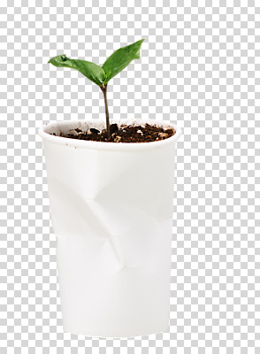 식물 편집이미지 캠페인 누끼 사람없음 한개 새싹 자연보호 환경 그린캠페인 흙 재활용 환경오염 오염 종이컵 일회용 오브젝트 분리수거 PNG 테이크아웃컵 업사이클링 편집소스 제로웨이스트 1 컨셉 자연 컵 보호 사회이슈 친환경 파일형식
