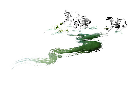 PSD 전통 여자 남자 밭 일러스트 캘리그라피 붓터치 협력 흑백 사람 풍경 세명 농사 시골 농부 한복 번짐 모내기 농작 힘듦 국내일러스트 직업 한국전통 컨셉 농업 촬영기법 전통의상 파일형식 효과