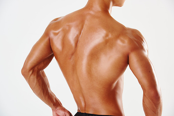 포토 JPG 스튜디오촬영 남자 허리손 포즈 다이어트 근육 실내 건강 한명 서기 누끼 상반신 20대 성인 뒷모습 운동 헬스 힘 한국인 웨이트트레이닝 보디빌딩 보디빌더 흰배경 트레이너 바디케어 복근 성인남자한명만 바디프로필 국내포토 1 뷰포인트 백그라운드 모션 사람 동양인 청년 내부 흰색 남자한명만 성인남자만 파일형식