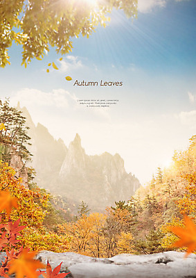 PSD 나무 구름 편집이미지 단풍 낙엽 자연 하늘 단풍나무 산 따뜻함 사람없음 햇빛 갈색 가을풍경 가을 이미지편집 자연요소 식물 계절 컬러 잎 풍경 태양 생태계 파일형식 가을_계절