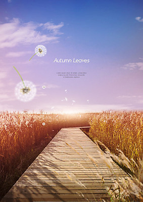 PSD 편집이미지 자연 하늘 따뜻함 갈대 사람없음 갈색 가을풍경 가을 민들레 갈대밭 민들레홀씨 데크 이미지편집 식물 계절 꽃 컬러 풍경 생태계 파일형식 가을_계절 갈대_식물