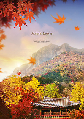 PSD 편집이미지 단풍 낙엽 자연 단풍나무 산 따뜻함 기와 사람없음 갈색 가을풍경 가을 돌산 기와지붕 이미지편집 나무 계절 컬러 잎 지붕 풍경 생태계 파일형식 가을_계절