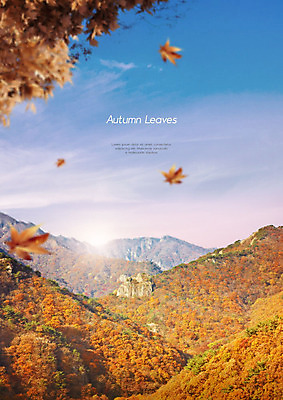 PSD 편집이미지 단풍 낙엽 자연 하늘 단풍나무 산 따뜻함 사람없음 갈색 가을풍경 가을 이미지편집 나무 계절 컬러 잎 풍경 생태계 파일형식 가을_계절