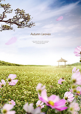 PSD 편집이미지 자연 하늘 따뜻함 초원 사람없음 갈색 가을풍경 가을 소나무 오두막 코스모스 이미지편집 나무 계절 꽃 컬러 풍경 생태계 파일형식 가을_계절
