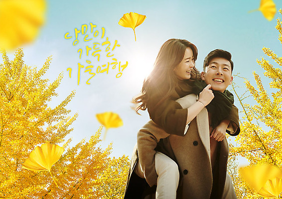 PSD 나무 편집이미지 커플 여자 남자 커플라이프 단풍 데이트 따뜻함 사랑 사람 상반신 20대 성인 두명 앞모습 노란색 가을풍경 다정 산책 한국인 가을 은행잎 업기 가을여행 성인만 이미지편집 식물 라이프스타일 계절 감정 뷰포인트 컬러 여행 컨셉 잎 관계 모션 휴식 동양인 풍경 청년 파일형식 가을_계절