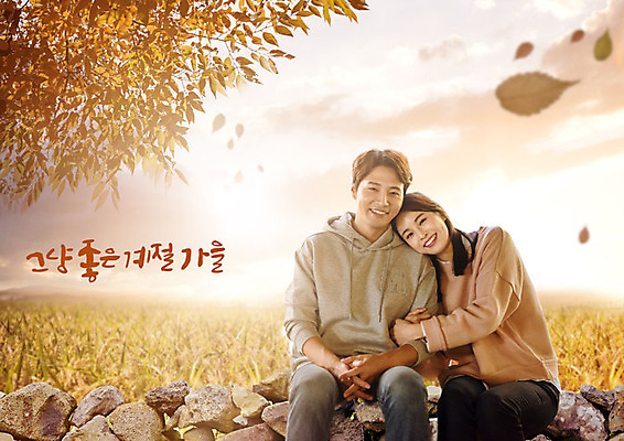 PSD 편집이미지 커플 여자 남자 커플라이프 40대 단풍 데이트 돌담 따뜻함 사랑 사람 앉기 초원 상반신 성인 두명 앞모습 30대 노란색 노을 가을풍경 기댐 다정 일몰 한국인 가을 가을여행 성인만 이미지편집 자연요소 라이프스타일 계절 감정 뷰포인트 컬러 중년 여행 컨셉 잎 관계 모션 동양인 풍경 장년 담장 돌_바위 파일형식 가을_계절