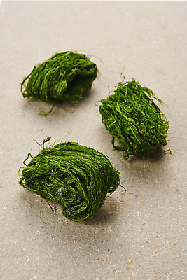 포토 JPG 스튜디오촬영 식재료 반찬 건조 실내 누끼 사람없음 세개 해조류 해초 오브젝트 파래 국내포토 음식 3 내부 해양식물 파일형식