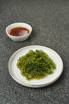 포토 JPG 스튜디오촬영 그릇 식재료 회색배경 실내 누끼 사람없음 해조류 해초 오브젝트 바다포도 초고추장 국내포토 식기 백그라운드 내부 회색 양념 해양식물 파일형식