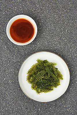 포토 JPG 스튜디오촬영 그릇 식재료 회색배경 실내 누끼 사람없음 하이앵글 해조류 해초 오브젝트 바다포도 초고추장 플랫레이 국내포토 식기 뷰포인트 백그라운드 내부 회색 양념 해양식물 플랫 파일형식