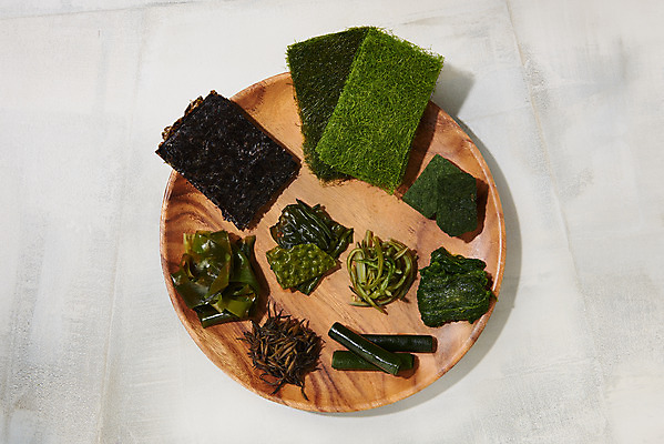 포토 JPG 스튜디오촬영 그릇 식재료 실내 누끼 사람없음 하이앵글 해조류 해초 김 오브젝트 미역 곰피 다시마 매생이 톳 파래 플랫레이 미역줄기 국내포토 식기 뷰포인트 내부 해양식물 플랫 파일형식