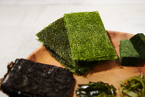 포토 JPG 스튜디오촬영 식재료 실내 누끼 사람없음 해조류 해초 오브젝트 국내포토 내부 해양식물 파일형식